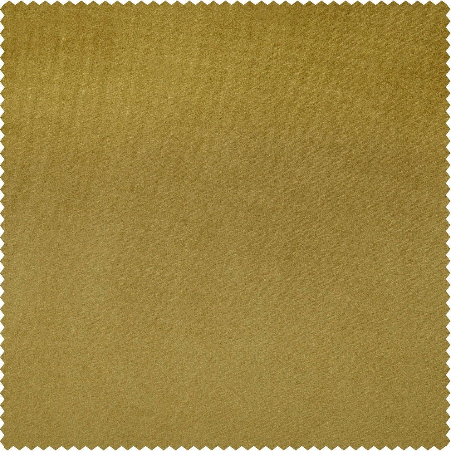 Babalonia Green Signature Plush Velvet Swatch - HalfPriceDrapes.com