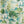 Woodland Mist Floral Floral Dune Cotton Textured Printed Room Darkening Curtain