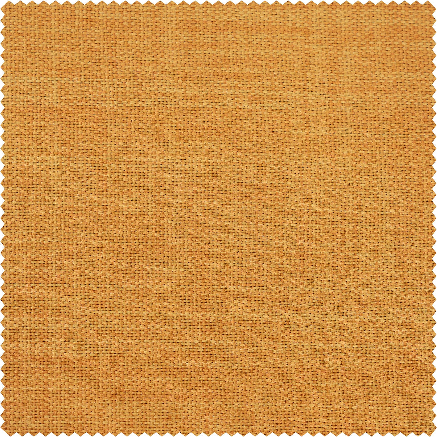 Solid mustard yellow color swatch