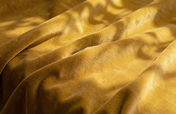 Fool's Gold