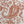 Edina Rust Paisley Printed Cotton Blackout Swatch