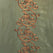 Borrache Silver Moon Striped Dupioni Silk Swatch