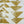 Triad Gold Geometric Printed Cotton Hotel Blackout Swatch