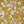 Fleur Gold Floral Printed Cotton Hotel Blackout Swatch