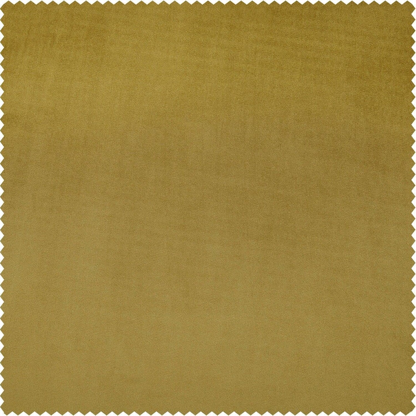 Babalonia Green Signature Plush Velvet Swatch - HalfPriceDrapes.com