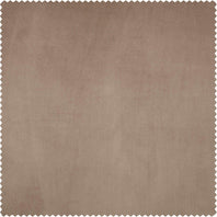 Pashmina Taupe Signature Plush Velvet Swatch